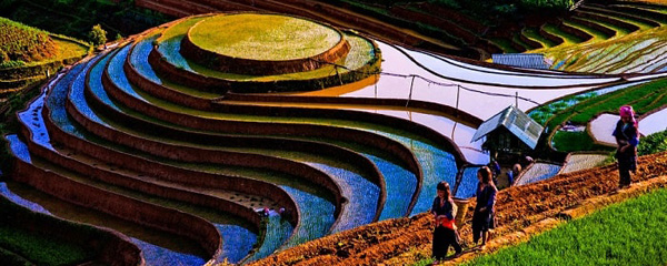 du-lich-mu-cang-chai-mua-nuoc-do